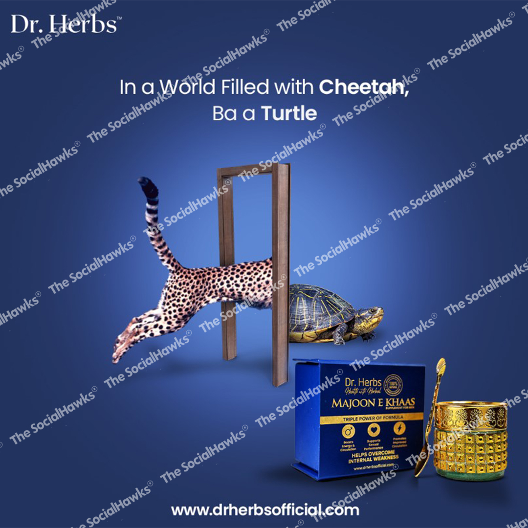 Dr Herbs Majoon E Khaas creative ad with cheetah and turtle on blue background
